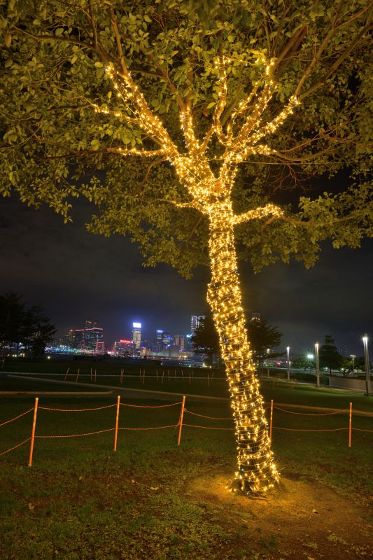 Tree and Bush Lighting