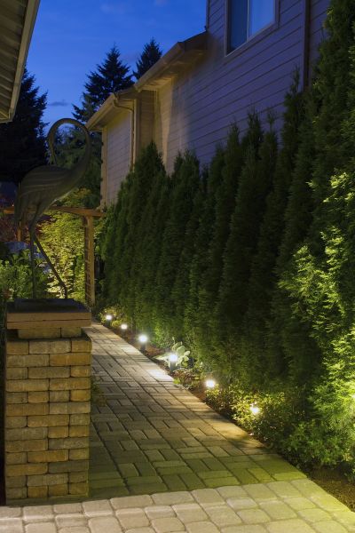 Low Voltage Outdoor Lighting