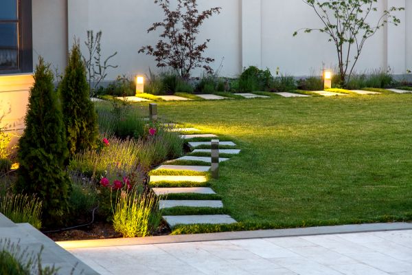 Backyard Lighting